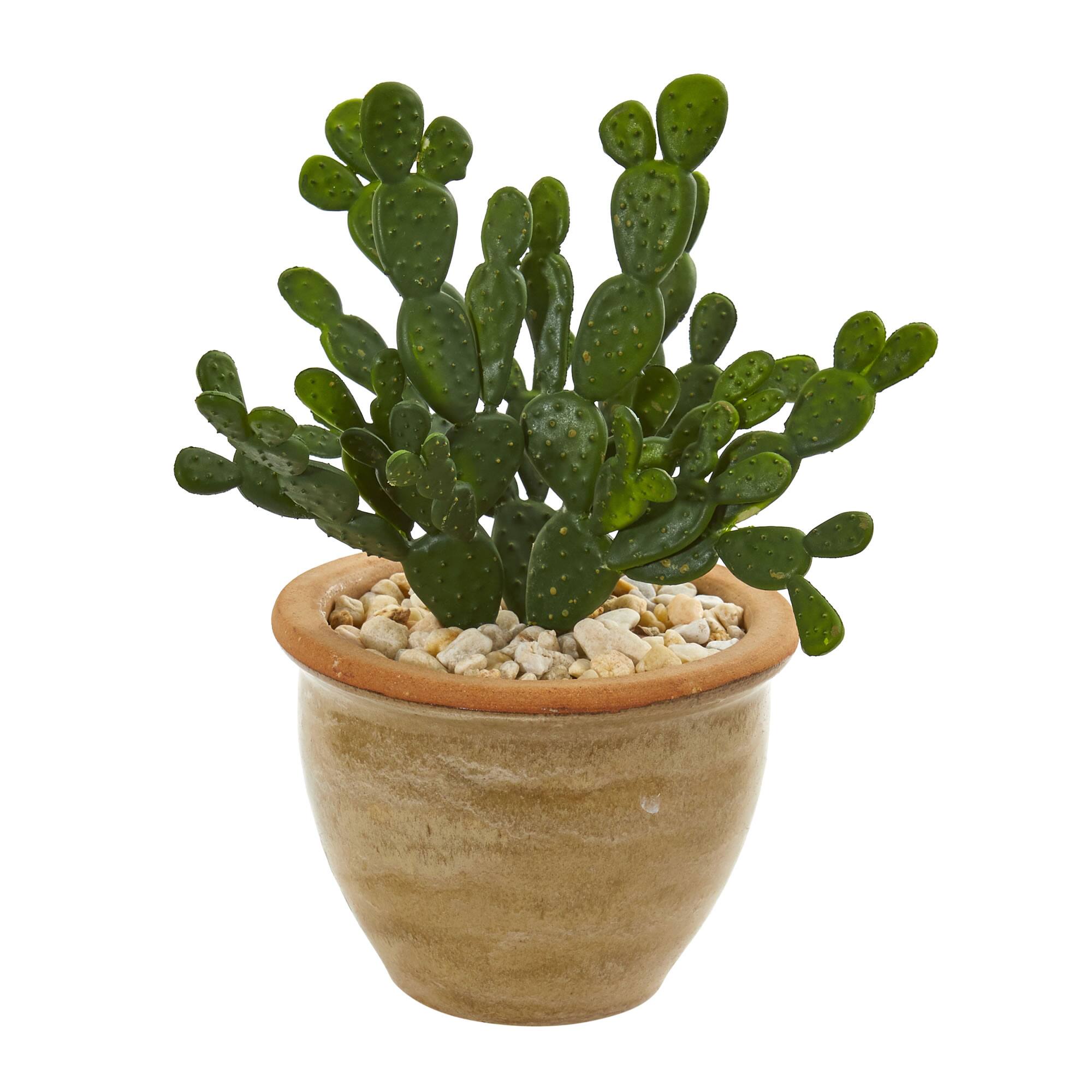 11" Cactus Succulent in Ceramic Vase Set